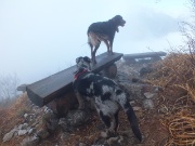 56 panchine panoramiche su...nebbia...